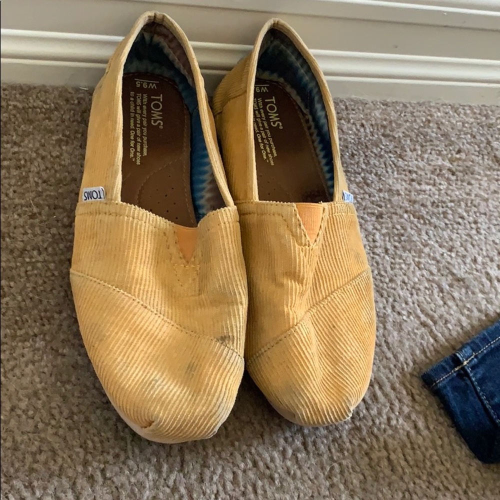 Mustard yellow toms